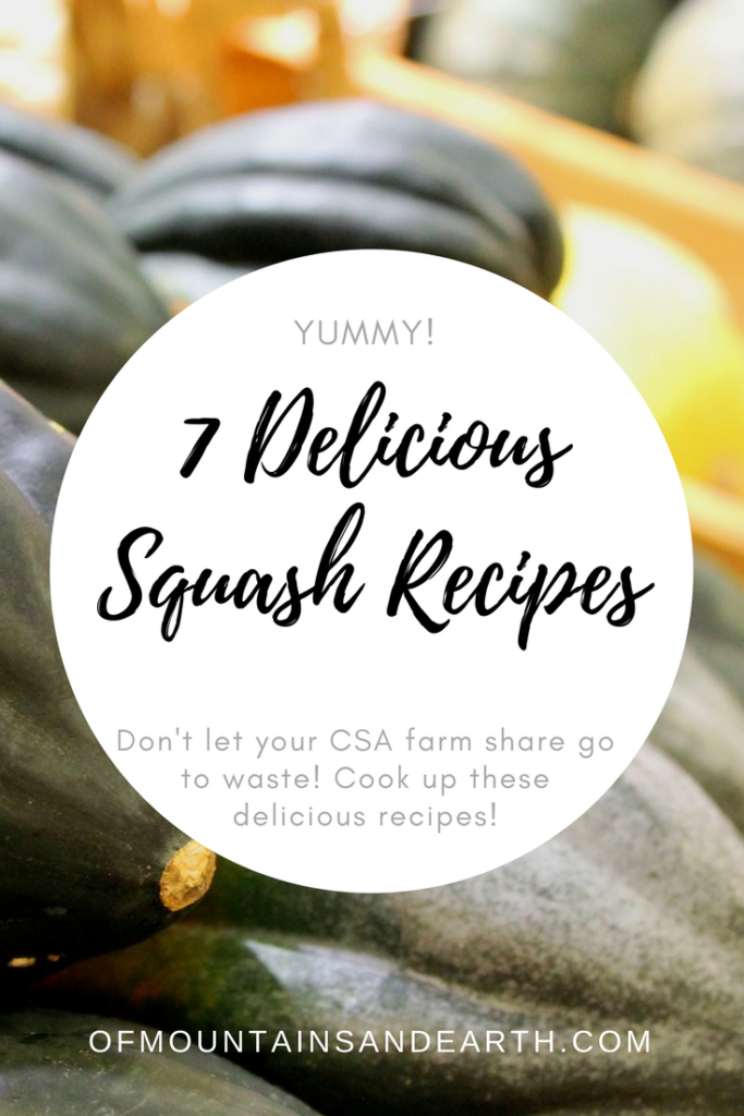 Don't let any of your CSA farm share food go to waste -- try one of these delicious squash recipes today.