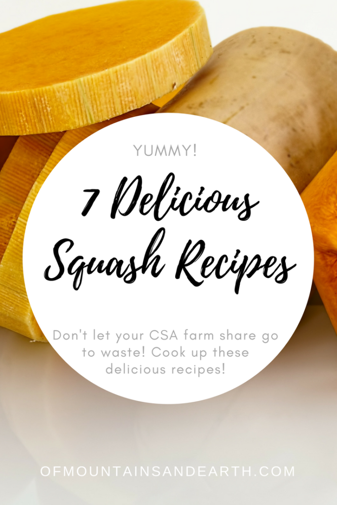 Don't let any of your CSA farm share food go to waste -- try one of these delicious squash recipes today.